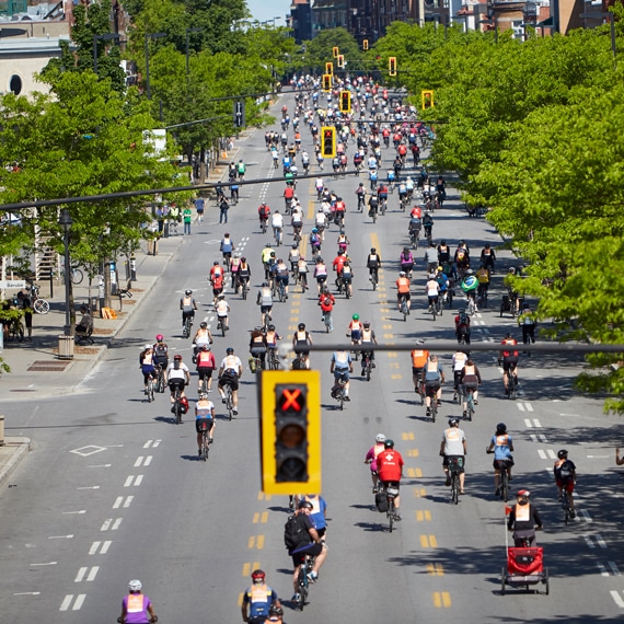 tour velo montreal