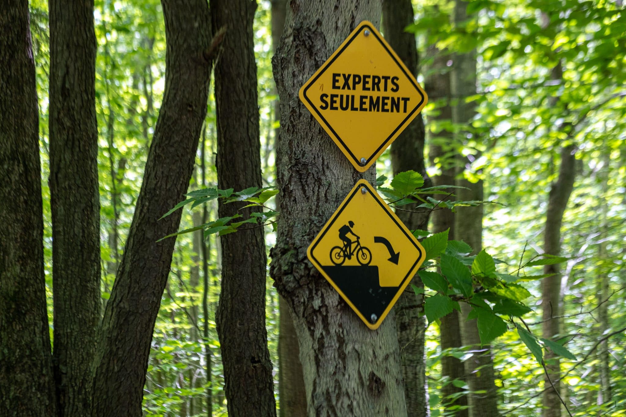 Gestion des risques liée au vélo de montagne - Communication par la classification et la signalisation - V3