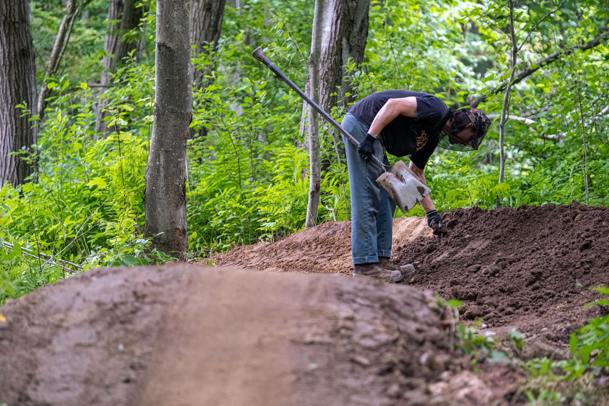 Sustaining your network: maintaining and upgrading - V5